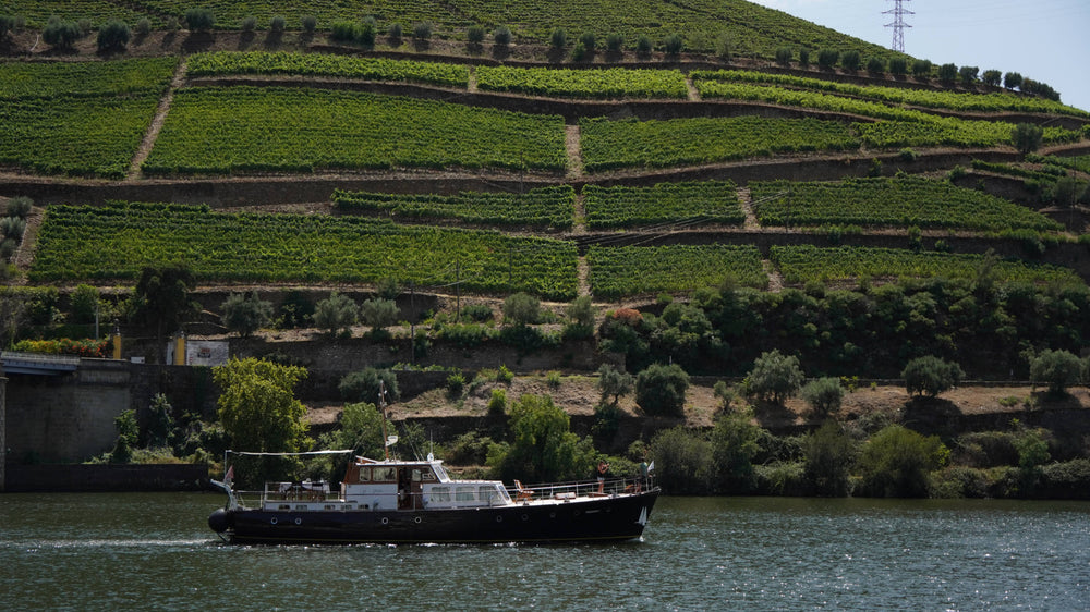 Dura River Vineyards, Portugal
