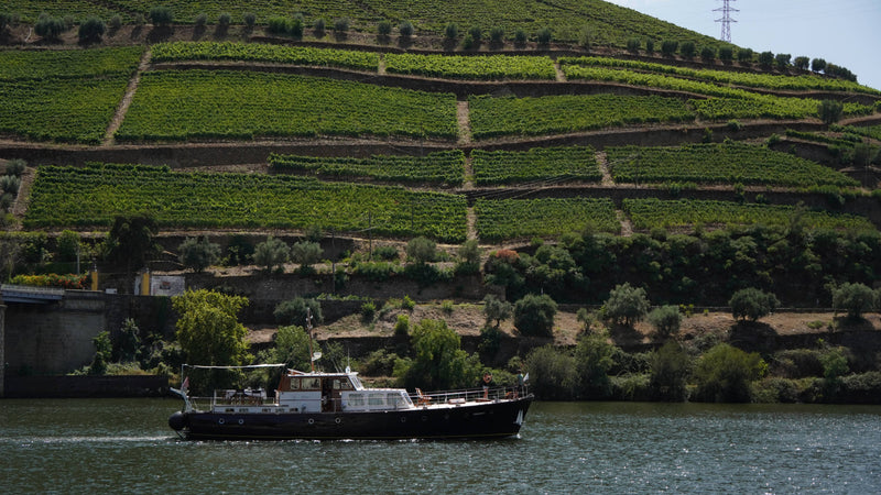 Dura River Vineyards, Portugal