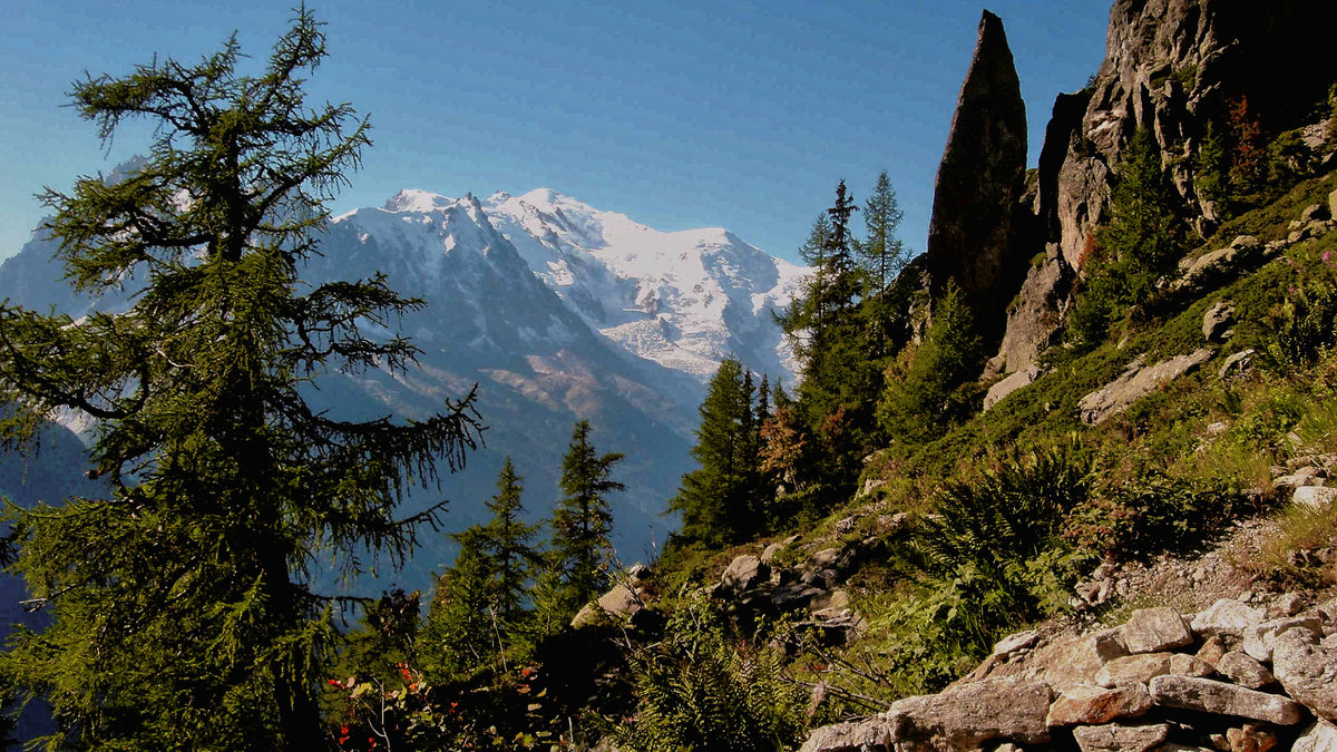Mont Blanc