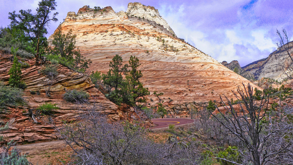 Checkerboard Mesa, Zion National Park