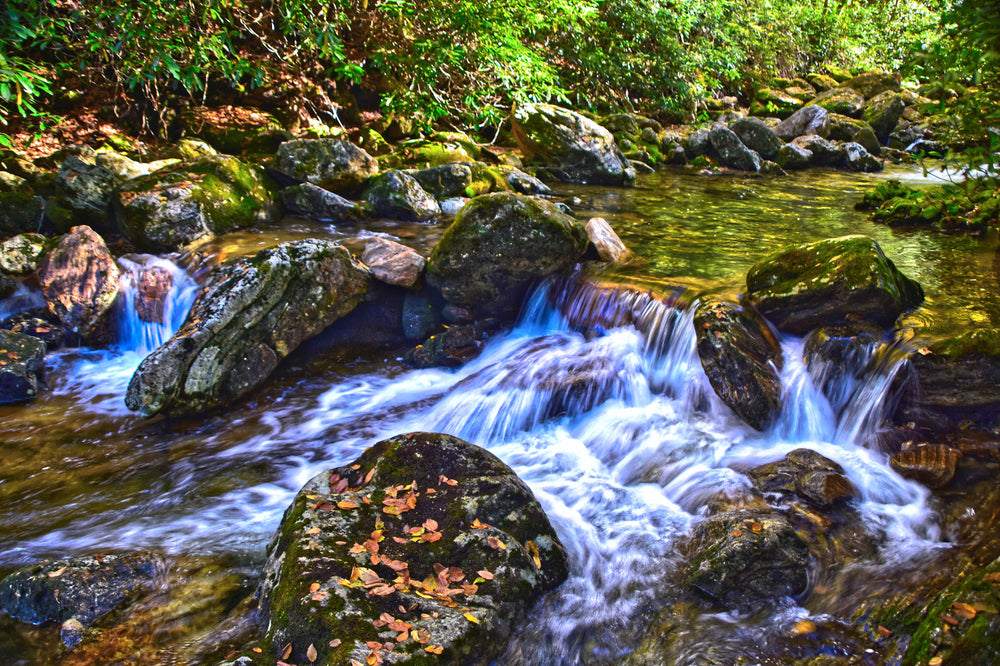 Bearwallow Cascade on Buck Spring Trail