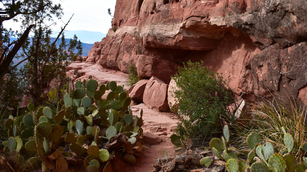 Cathedral Rock