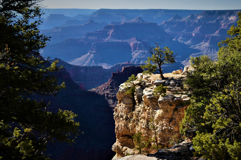Sentinel Tree in Grand Canyon National Park
