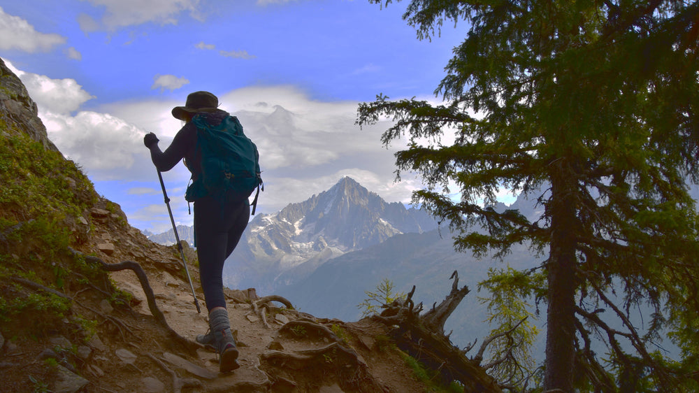 Hiker Near Merlet, France